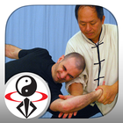 Icona Tai Chi Martial Applications