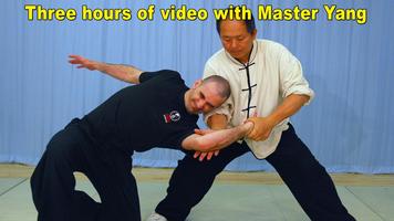 Poster Tai Chi Martial Applications