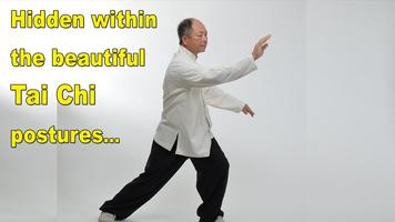 Tai Chi Martial Applications اسکرین شاٹ 1