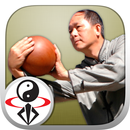 Tai Chi Boule Qigong (Dr Yang) APK