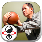 Icona Tai Chi Ball Qigong (Dr. Yang)