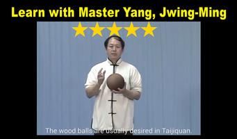 Tai Chi Ball Qigong (Dr. Yang) ภาพหน้าจอ 2