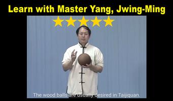 Tai Chi Ball Qigong (Dr. Yang) ảnh chụp màn hình 2