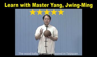 Tai Chi Ball Qigong (Dr. Yang) screenshot 2