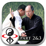 Yang Tai Chi for Beginners 2&3 icône