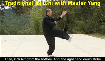 Yang Tai Chi for Beginners 2&3 पोस्टर