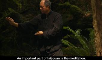 Yang Tai Chi for Beginners 2&3 ภาพหน้าจอ 2