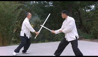Tai Chi Sword w Dr. Yang YMAA скриншот 3