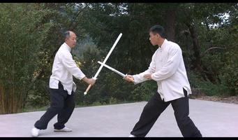 Tai Chi Sword w Dr. Yang YMAA screenshot 3
