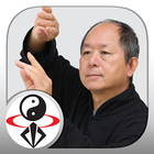 Tai Chi 13 Postures アイコン