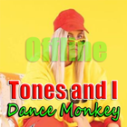 Dance Monkey - Tones and I Songs Offline icône