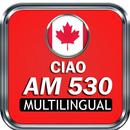Radio 530 Am Radio Toronto Online Radio Canadá Am APK