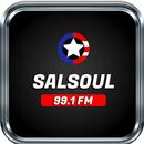 Salsoul 99.1 Fm Puerto Rico Radio Live NO OFICIAL APK