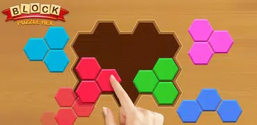 Hexagon Puzzle