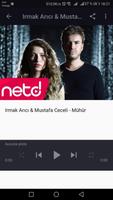 Irmak Arıcı & Mustafa Ceceli Affiche