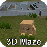 Boxy and the 3D Maze Labrinth