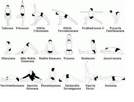 yoga exercises 截图 1