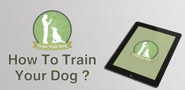 How To Teach a Dog