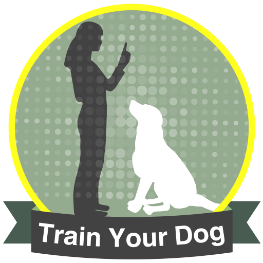 How To Teach a Dog