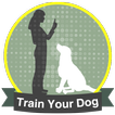 How To Training Dogs