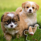 Paws & Claws: Cute Pet Puzzles icon