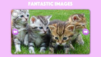 Paws & Claws: Cute Pet Puzzles Plakat