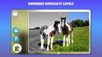 Horse and Pony jigsaw puzzles تصوير الشاشة 3