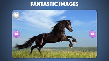 Horse and Pony jigsaw puzzles الملصق