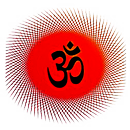 Vrat Katha (व्रत कथा व विधि ) APK
