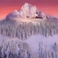 Nature Jigsaw Puzzles imagem de tela 3