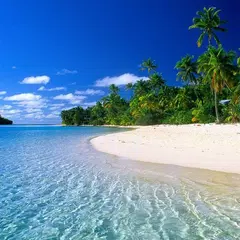 Beach Jigsaw Puzzles APK download