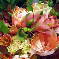 Flower Jigsaw Puzzles تصوير الشاشة 2