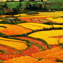 Geographic Jigsaw Puzzles APK