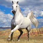 Horses Jigsaw Puzzles أيقونة