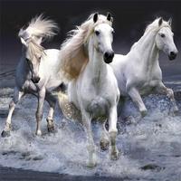 Horses Jigsaw Puzzles تصوير الشاشة 1