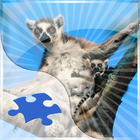 Lemurs Jigsaw Puzzles আইকন