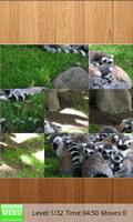 Lemurs Jigsaw Puzzles Plakat