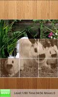 Rabbits Jigsaw Puzzles Affiche