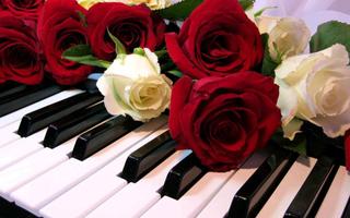 Roses Jigsaw Puzzles Cartaz