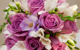 Roses Jigsaw Puzzles imagem de tela 1