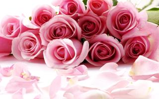 Roses Jigsaw Puzzles imagem de tela 2