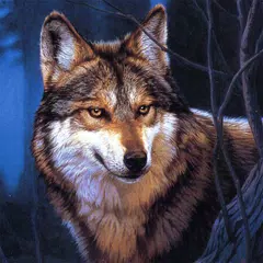 download Wolf Jigsaw Puzzles APK