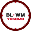 YOKOMO BL-WM WIZARD icono