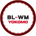 YOKOMO BL-WM WIZARD
