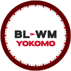 YOKOMO BL-WM WIZARD simgesi