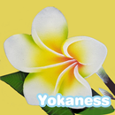 リンパドレナージュサロン　Yokaness　公式アプリ APK