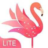 YOME LIVE Lite: Live VideoChat Zeichen