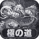 APK 極の道