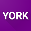 York Region Transit Bus, YRT-APK