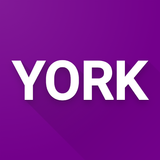 York Region Transit Bus, YRT icône